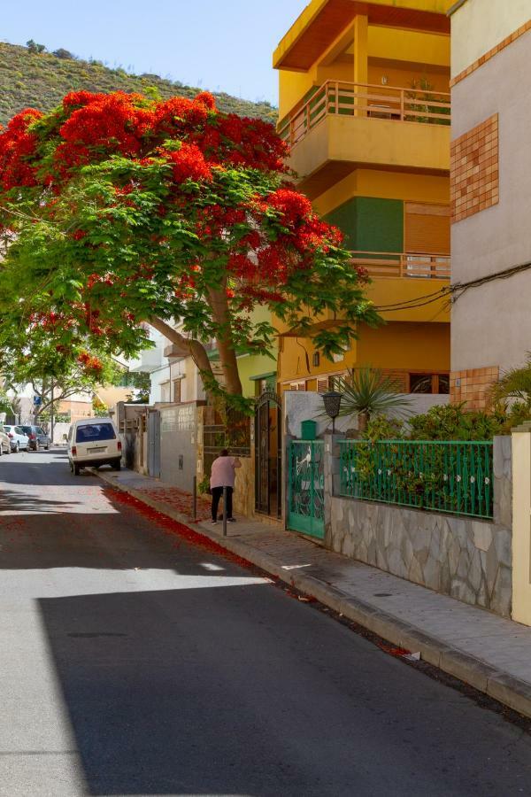 Casa Dona Carmela Guesthouse - Adults Only ซานตาครูซ เด เตเนริเฟ ภายนอก รูปภาพ